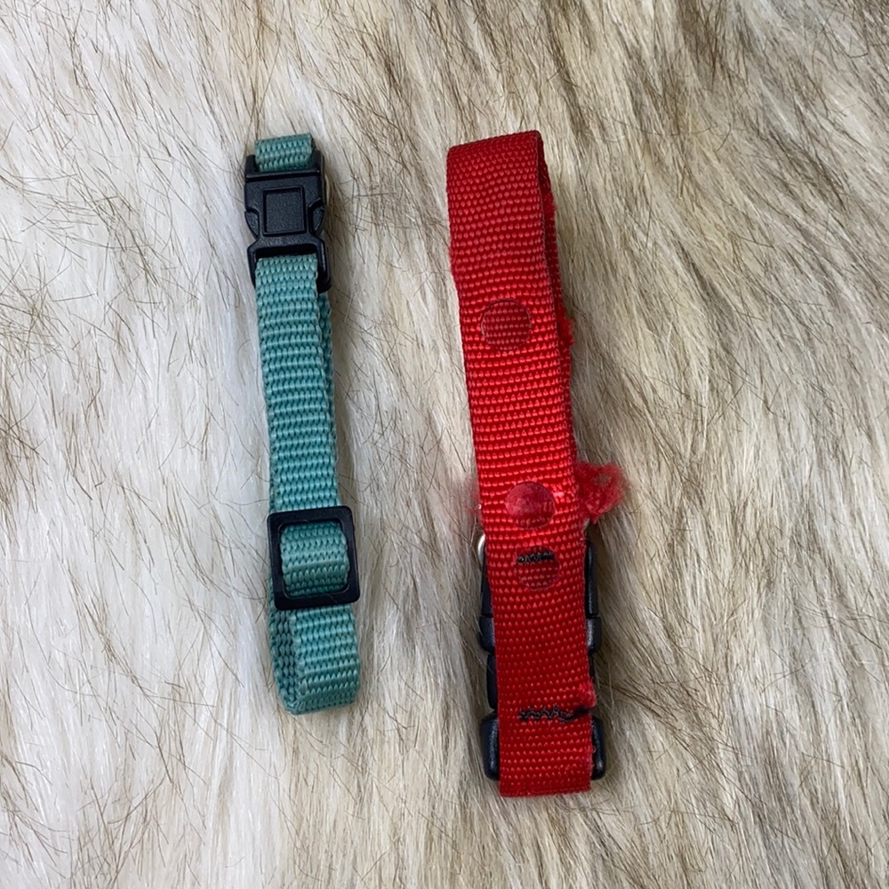 XS Adjustable Dog Collar Set | Standard Collar & Red Underground Fence Collar